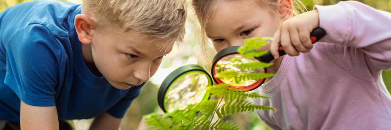 Úspech na biologickej olympiáde