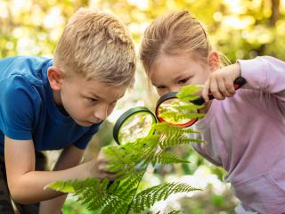 Úspech na biologickej olympiáde