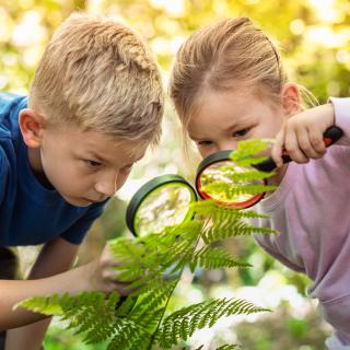 Úspech na biologickej olympiáde